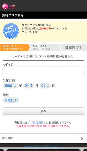 プロフィール入力画面